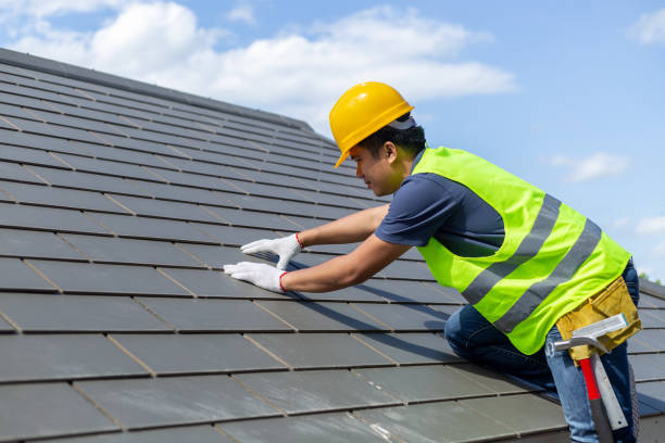 Best Roof Leak Repair  in Olga, FL