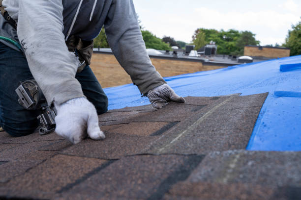 Best Commercial Roofing Services  in Olga, FL