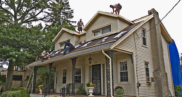 Best Roof Replacement Cost  in Olga, FL