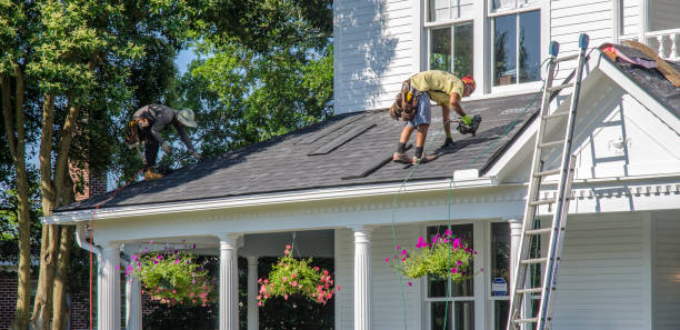 Best Gutter Installation and Roofing  in Olga, FL