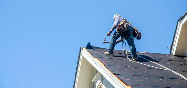 Best Flat Roof Repair Services  in Olga, FL